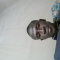 Dr Eric Ben Berko